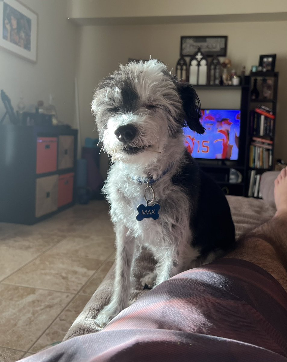 Tritty_p's tweet photo. Max said he will not sleep well if i don’t hit 3k followers tonight.  Help me out !! https://t.co/gWCcvNSwRV