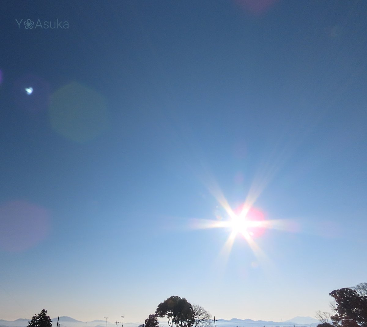 yumeasutw's tweet photo. #青空 にお日様燦々✨山々が霞む日曜日の朝☀️
電線に佇む仲良し椋さん🐦️🐦️

予想最高/最低気温🌡️12℃/-4℃
晴れ時々曇り☀️/☁️
日中は穏やかな冬晴れの一日に。

#空の名前
#天気の図鑑 #雲友の会
#層雲
#ムクドリ #椋鳥 #White_cheeked_Starling
#野鳥 #bird #近所鳥
#a2023 #a0108 #a202301 https://t.co/RyXk0j4R9N