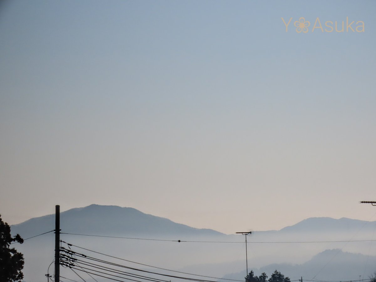 yumeasutw's tweet photo. #青空 にお日様燦々✨山々が霞む日曜日の朝☀️
電線に佇む仲良し椋さん🐦️🐦️

予想最高/最低気温🌡️12℃/-4℃
晴れ時々曇り☀️/☁️
日中は穏やかな冬晴れの一日に。

#空の名前
#天気の図鑑 #雲友の会
#層雲
#ムクドリ #椋鳥 #White_cheeked_Starling
#野鳥 #bird #近所鳥
#a2023 #a0108 #a202301 https://t.co/RyXk0j4R9N