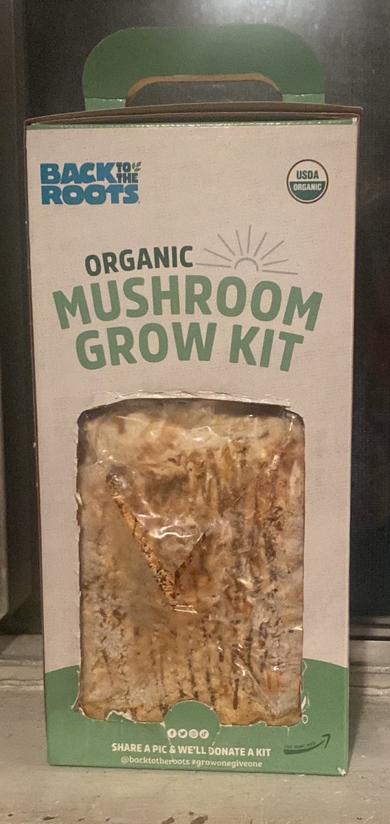 toniannkeiling7's tweet photo. Started the pearl oyster mushroom growing kit from @BacktotheRoots I see some growth starting on the medium ! 🍄 🍄 Love how the only mushroom emoji is the Mario Kart one #growonegiveone please 😀 https://t.co/q7DKPCzKSK
