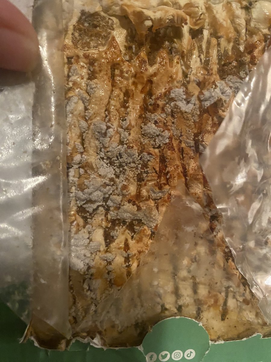 toniannkeiling7's tweet photo. Started the pearl oyster mushroom growing kit from @BacktotheRoots I see some growth starting on the medium ! 🍄 🍄 Love how the only mushroom emoji is the Mario Kart one #growonegiveone please 😀 https://t.co/q7DKPCzKSK