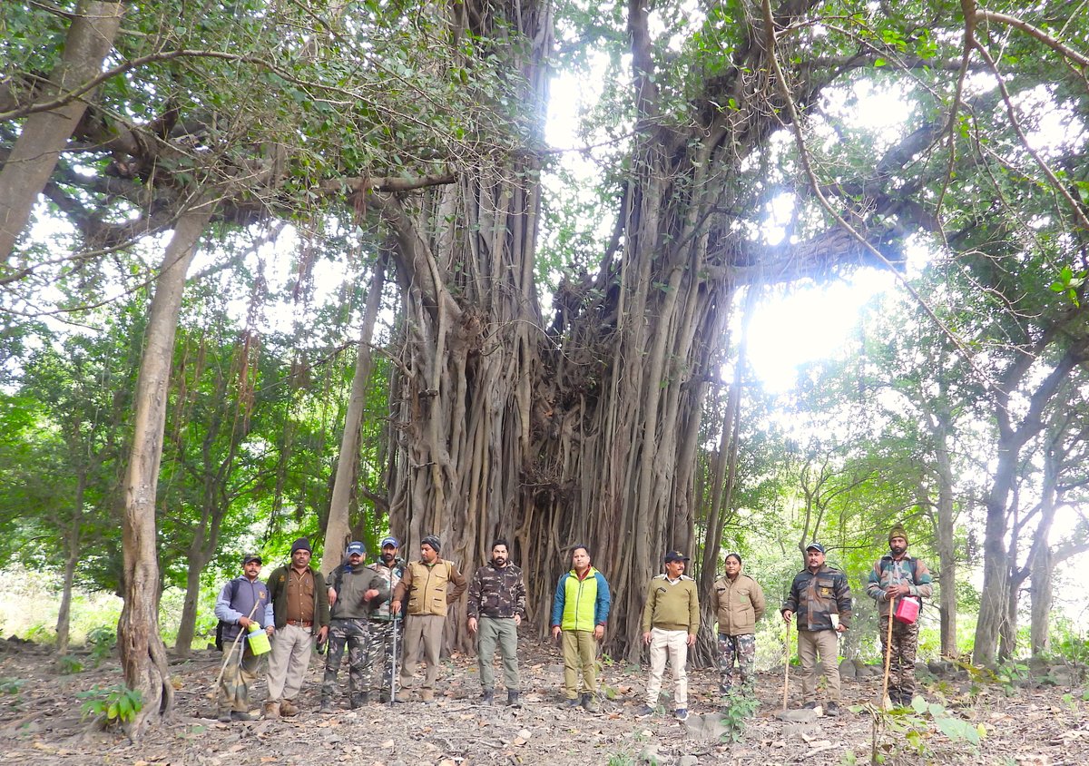 We, the protector of wilderness !! 
#TeamRajaji #FieldDays #LongRangeFootPatrol
#Conservation #Nature #Forest