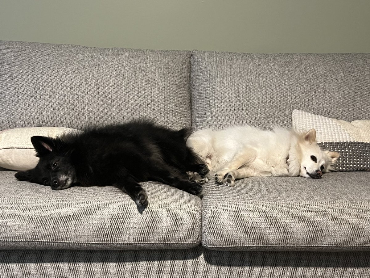 Natalie Gold tweet media