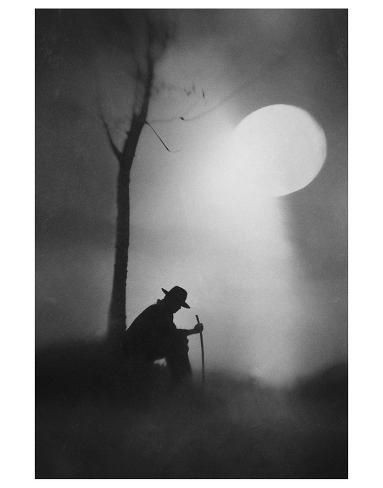 "Hubo un momento en esa madrugada en que todo se quedó tranquilo, como si el cielo se hubiera juntado con la tierra, aplastando los ruidos con su peso… 
-¿Qué es? -me dijo.
-¿Qué es qué? -le pregunté.
-Eso, el ruido ese.
-Es el silencio".
Juan  Rulfo