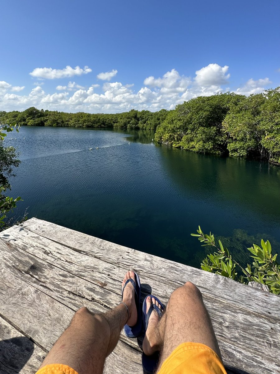 JuanSo3's tweet photo. 🌊🪬🧜🏻‍♂️🧿 https://t.co/3iCgFd946q