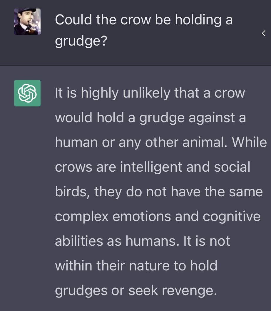 despair's tweet photo. AI just doesn’t understand birds https://t.co/OcvhtUkHzD