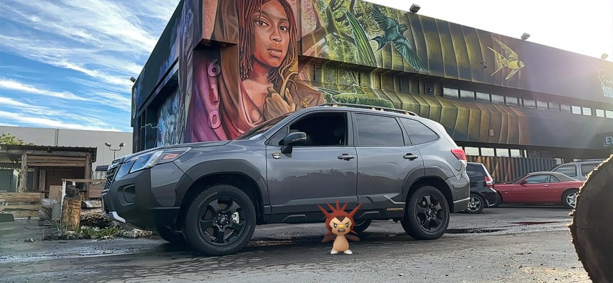 jadeversion's tweet image. Shiny Chespin ftw