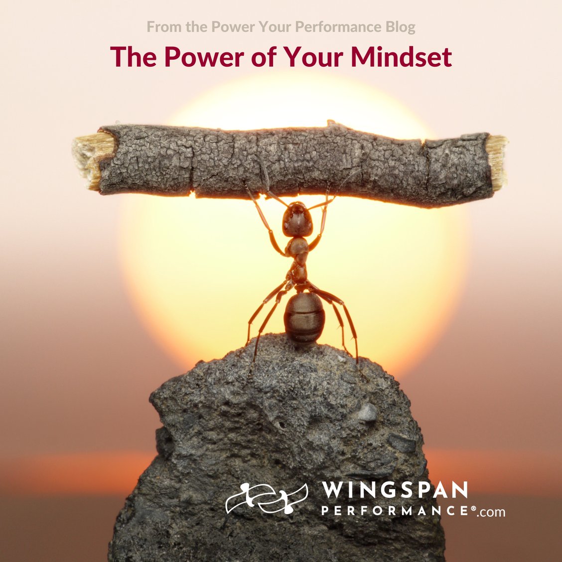 WingspanCoach's tweet photo. When you shut down your laptop for the day and head into dinner time with your family, make sure you’re not on Autopilot.

One easy way to do this? Don’t ask the same old question. Instead, ask a question you haven’t asked before! Here’s how:

https://t.co/8i76PaaNHM https://t.co/gkztVxYWNy