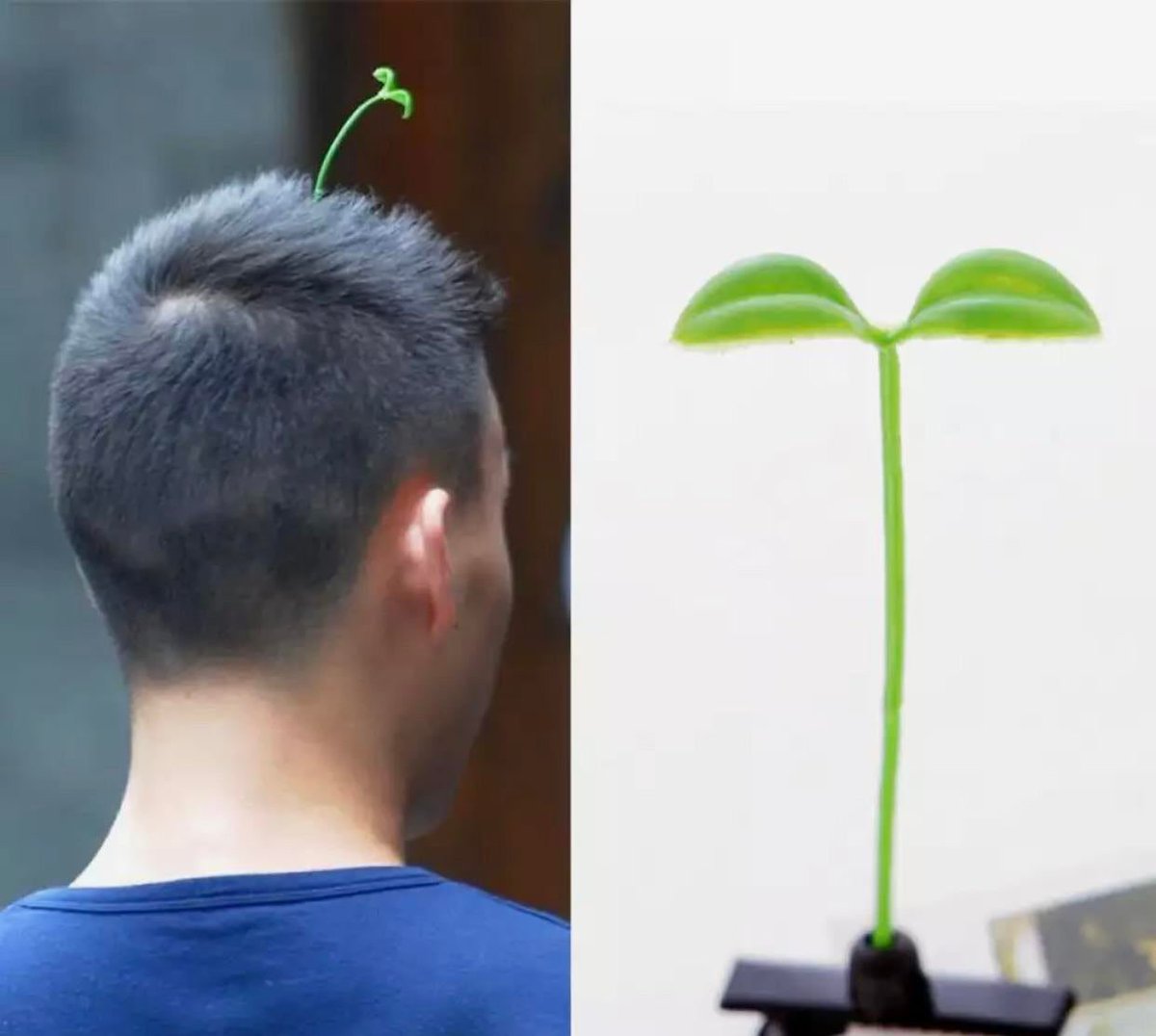 Every day we get closer and closer to irl FFXIV