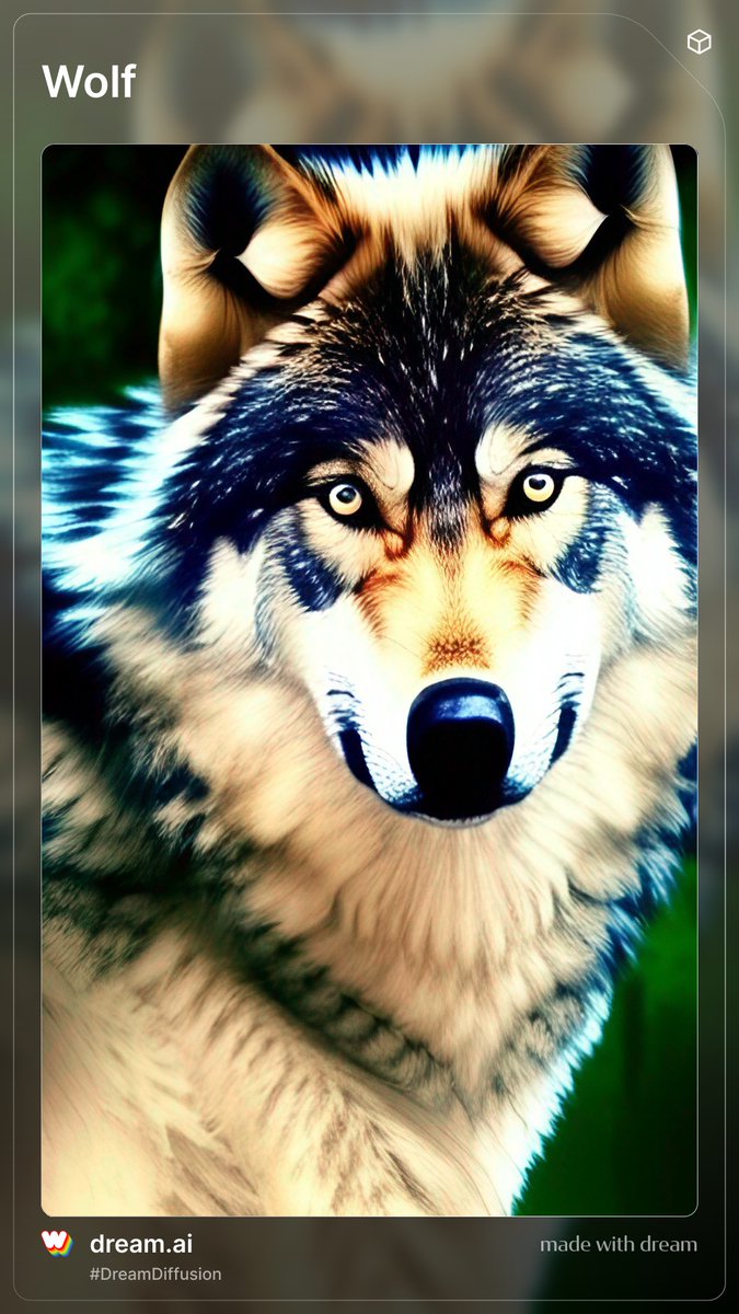 BChatsWShannon's tweet photo. Someone asked if my #wolf had a mate, yes of course he does. meet Blue moon! she was touched by #dragon magic as a pup and has always carried a silver blue sheen to her fur of which she is rightly proud. #bookstagram #writersoftwitter #forest #pack #booklore #worldbuilding https://t.co/rmIHAQnN1p