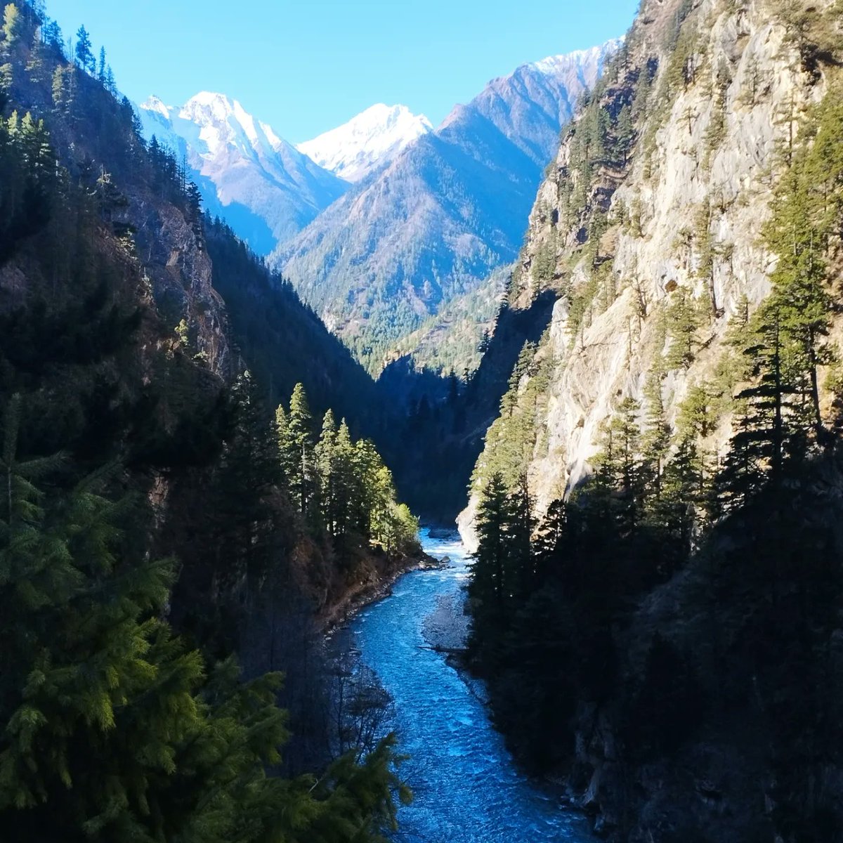 GaneshK14723434's tweet photo. Beautiful trekking trails in Nepal karnali district. #nepal #travel #trekking #nepaltrip #sephoksundo #phoksundolake
https://t.co/vwJOWufgBO https://t.co/Bs2WpI4XQ4