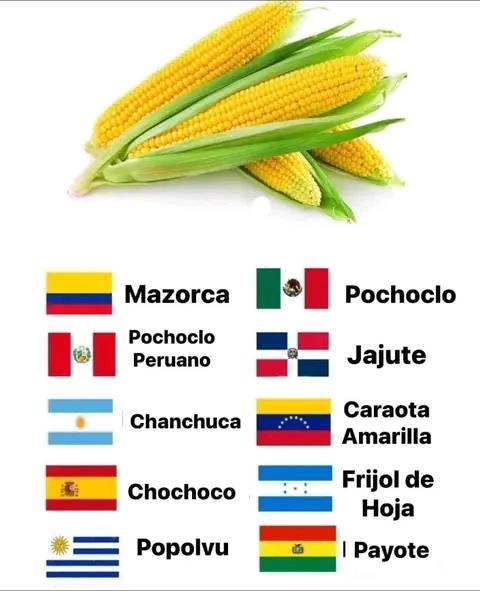 COMO QUE CHANCHUCA HERMANO ESO ES UN CHOCLO NO ME JODAN