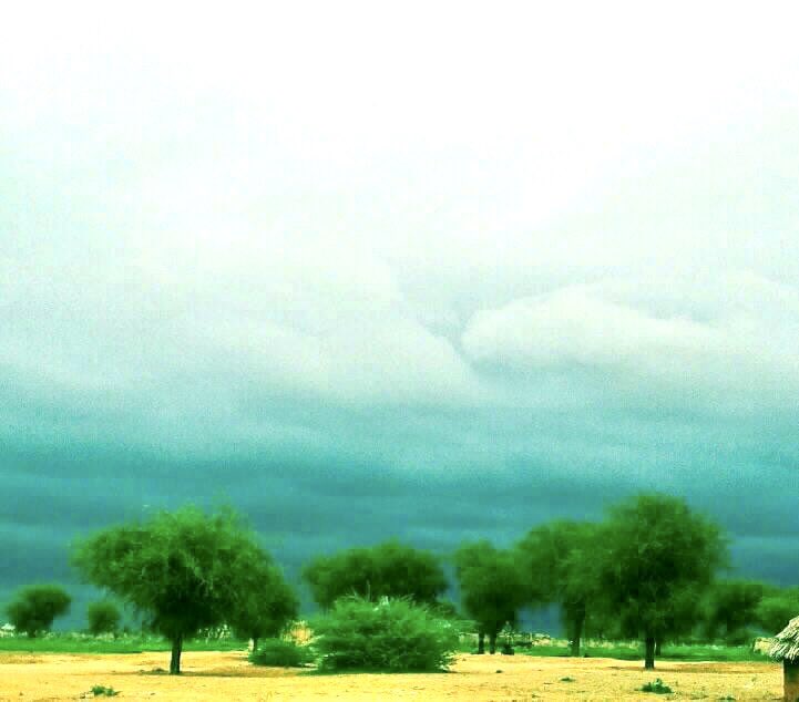 #أبوزبد
أبو زبد واحدة من أهم مدن ولاية #غرب_كردفان ب #السودان و من المناطق السياحية حيث تطوقها #التر...