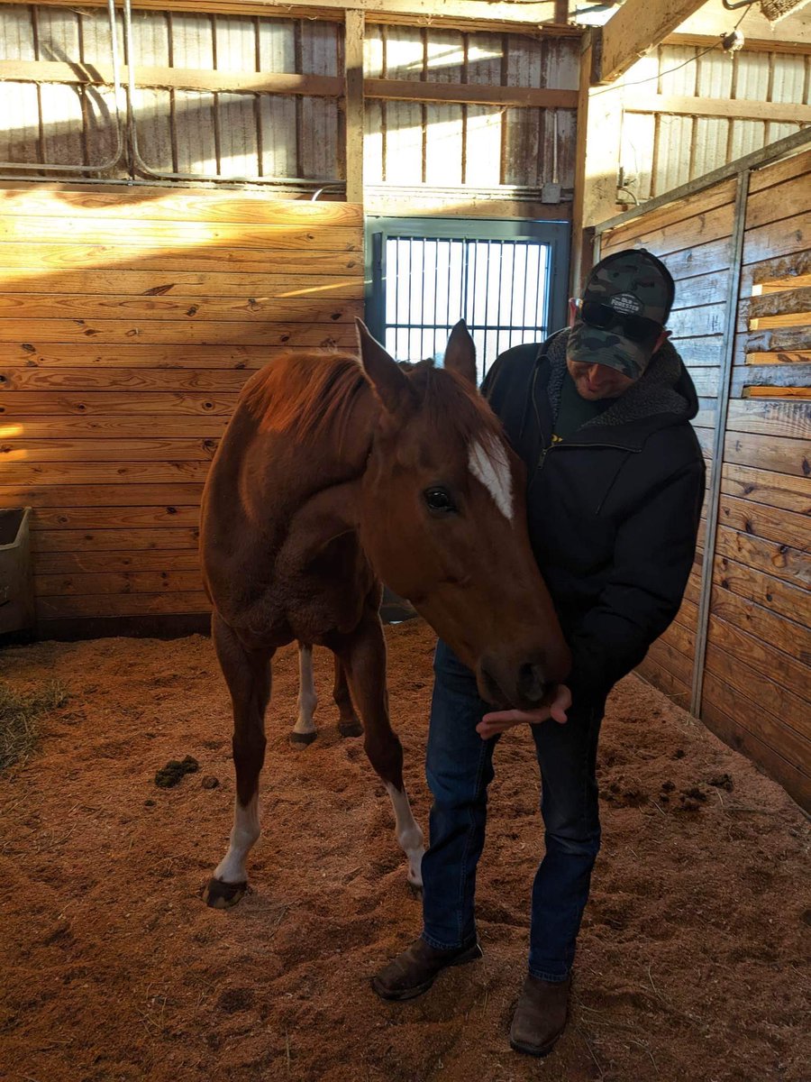 BORacingStable's tweet photo. Thundering Creed enjoying some mints on her vacation from racing. https://t.co/wU6PzubGgc