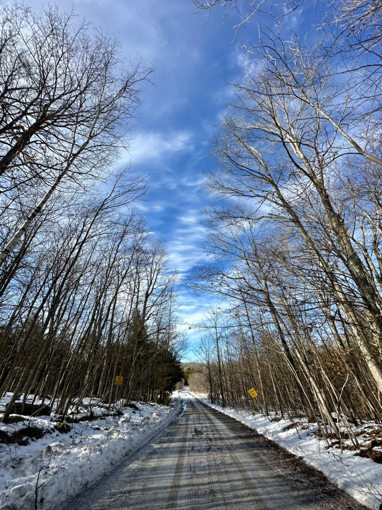 CPudel's tweet photo. Out for a #hike with Cooper today in #cottagecountry ! So beautiful out with strong sunshine warmer temps.  #wintersunshine #cottagelifesub #kawarthanow #cottagedogs @kawarthanow @cottagelife White Lake, Douro-Dummer, ON 2 of 3 https://t.co/FzHtqWna0Q