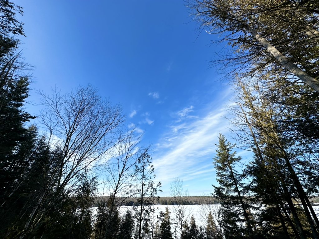 CPudel's tweet photo. Out for a #hike with Cooper today in #cottagecountry ! So beautiful out with strong sunshine warmer temps.  #wintersunshine #cottagelifesub #kawarthanow #cottagedogs @kawarthanow @cottagelife White Lake, Douro-Dummer, ON 2 of 3 https://t.co/FzHtqWna0Q