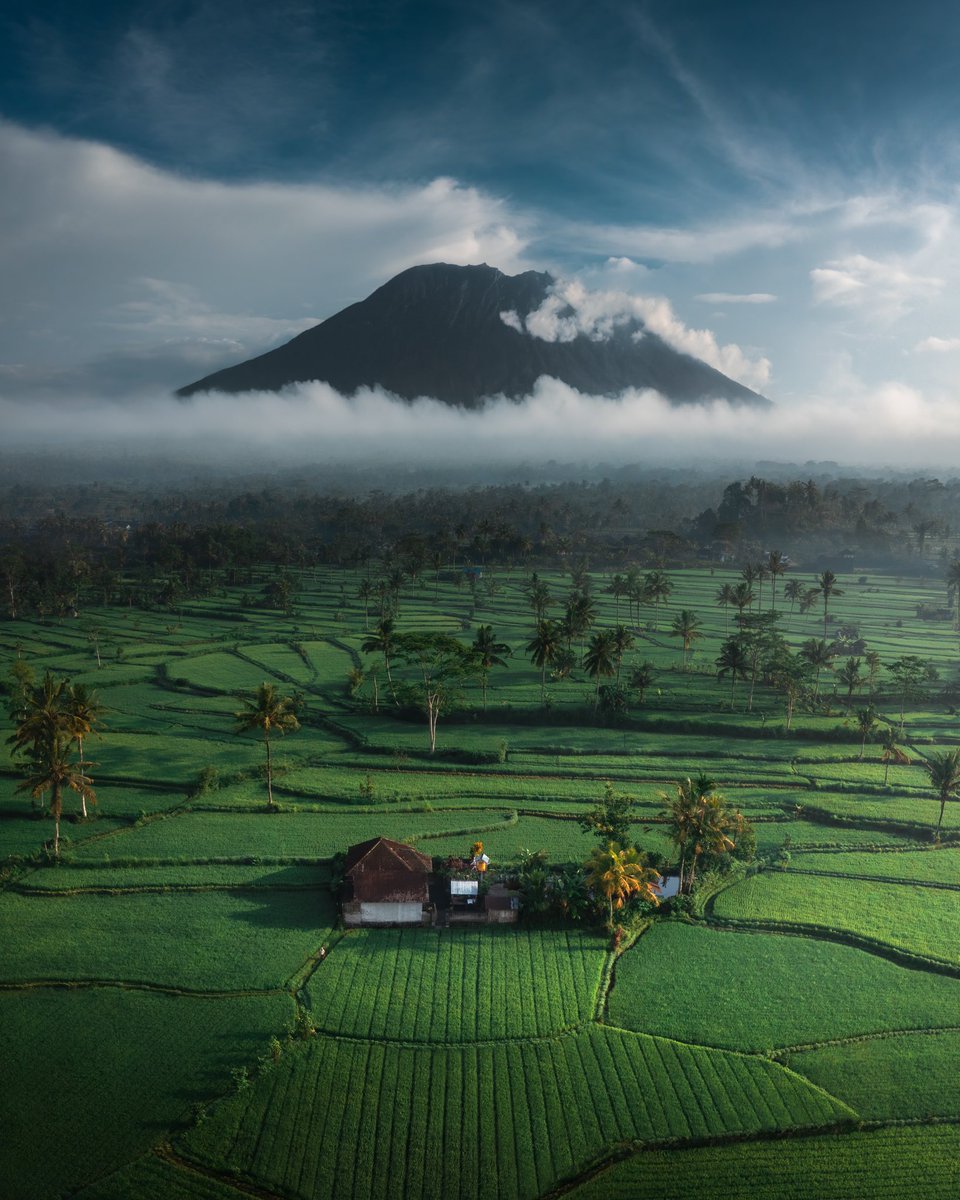 Jord Hammond tweet media