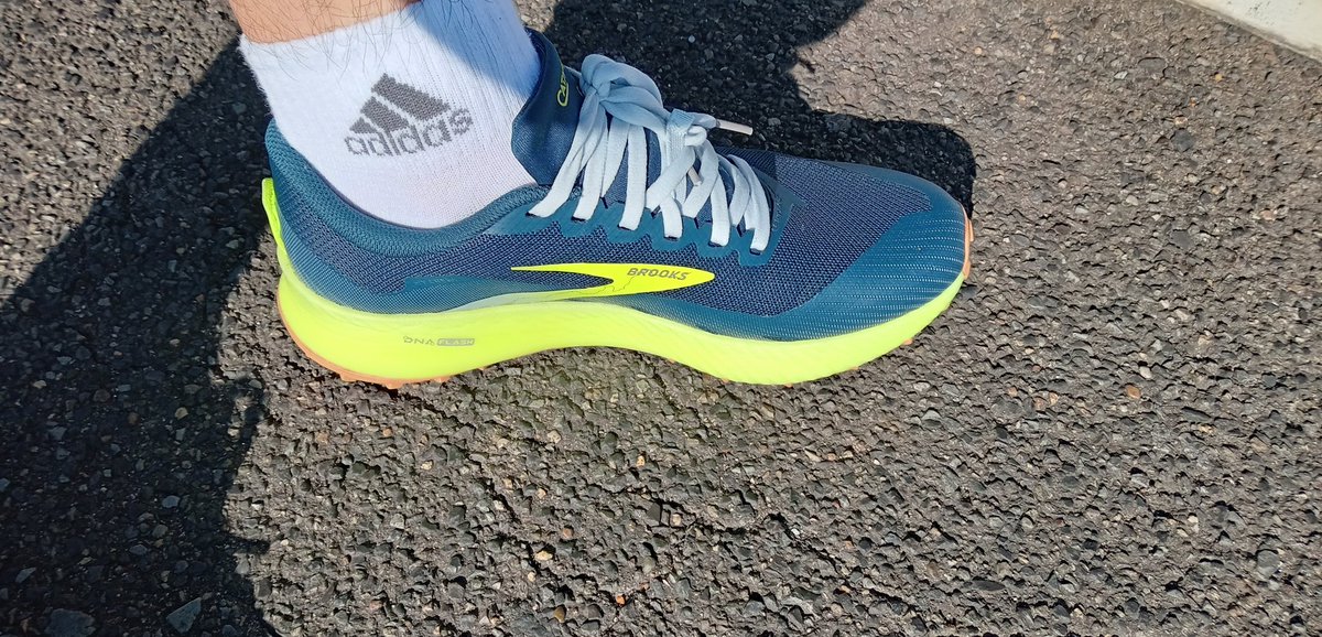 mei6413's tweet image. 朝ランで奥戸周辺の散策。
新中川の土手でカイデン?の群れに遭遇し、奥戸陸上競技場で南葛サッカー大会をやっていた。
新シューズの　#CATAMOUNT　もいい感じにフィットしてきた。
充実した朝ランでした。
#朝ラン　#トレラン