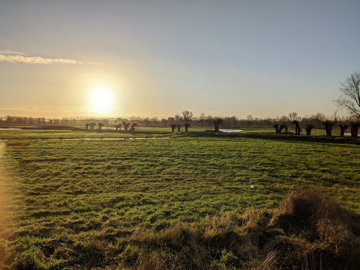 Goedemorgen Brugge!
