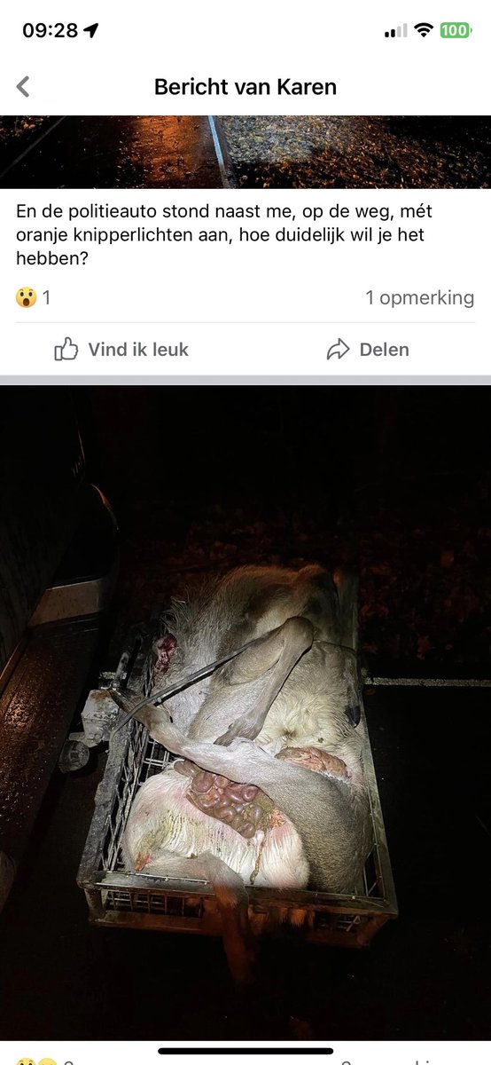 De antijager #hobbyactivist heeft t over nutteloos, meedogenloos afknallen.

Oa door hoge stand v herten/reeën rennen ze weg over.
Op zoek naar voedsel, of tijdens de bronst (paartijd).

Jagers staan 24/7 klaar om slachtoffers uit de berm te peuteren.
Een schot eerder is beter.