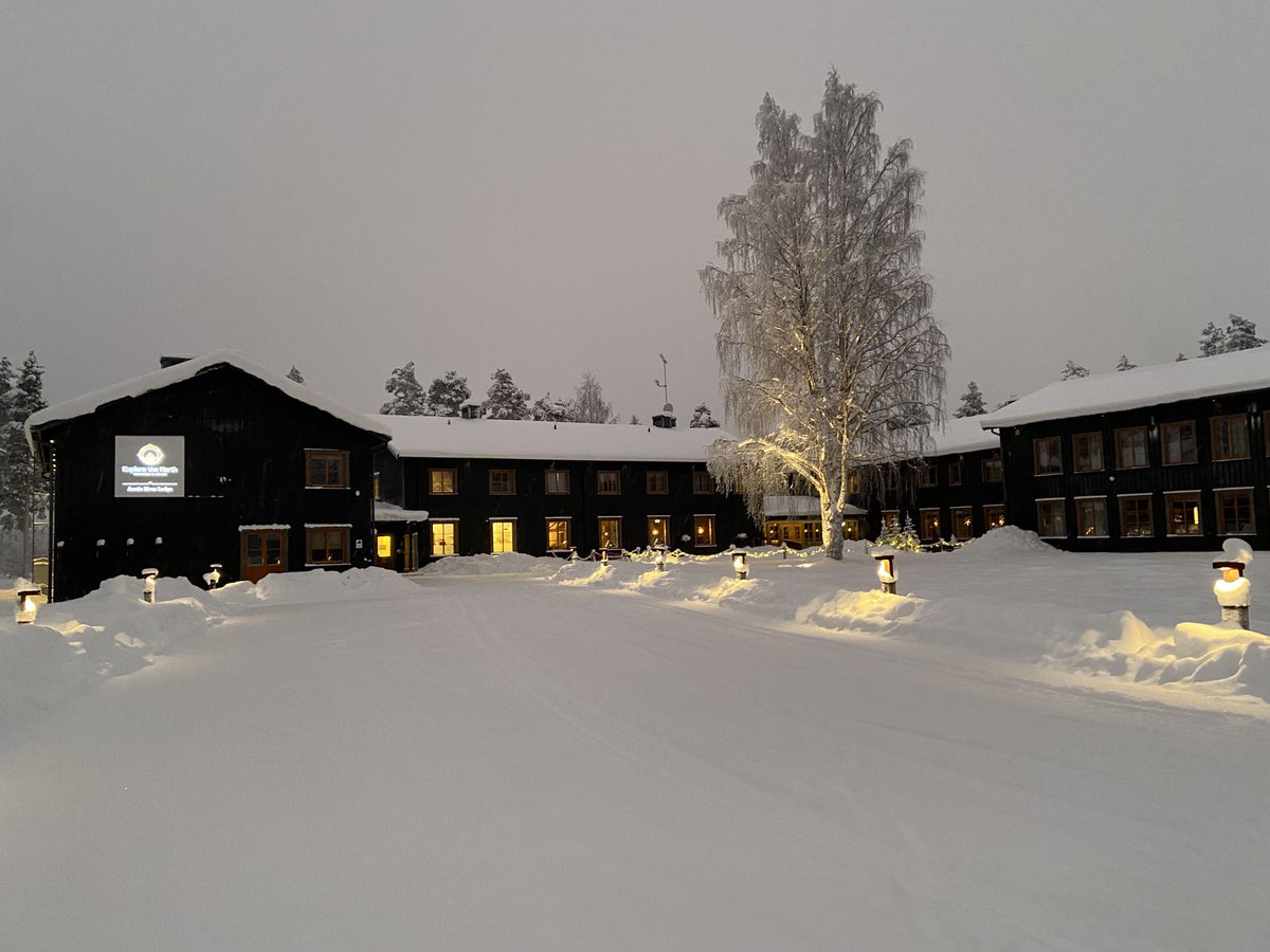 Verse sneeuw in Lapland #Tarendö #arcticriverlodge #explorethenorth #rendeer  #sneeuwscootertocht