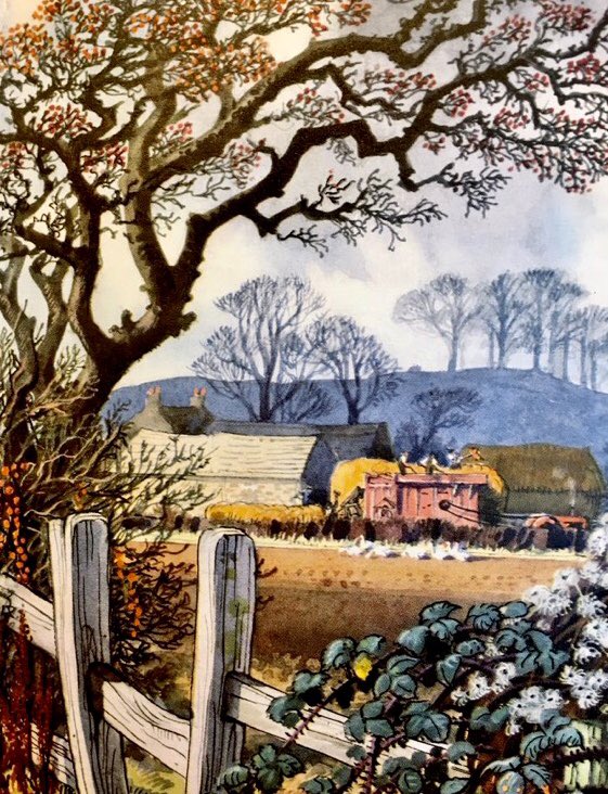 LBFlyawayhome's tweet photo. “To the left of the stile a hawthorn tree, bent by the prevailing wind, has a rich harvest of berries”.
#CFTunnicliffe #ELGrantWatson https://t.co/psxDKrtZYl