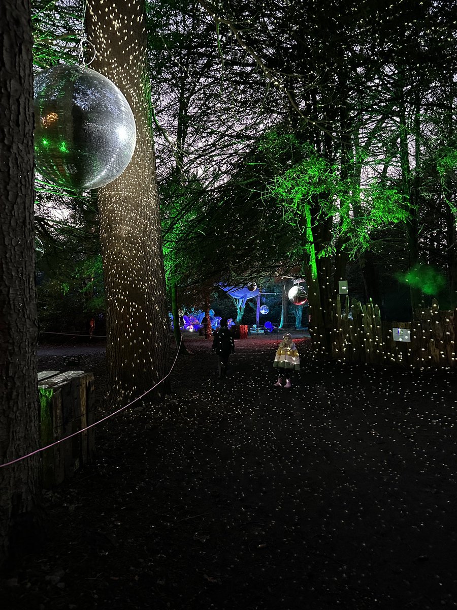 designbykinship's tweet photo. Disco balls and dancing in the forest ✨🪩 Loved this years Forest of Light at @BeamishHall 😍 #lovedurham #forestoflight https://t.co/Z8HDkewDcL