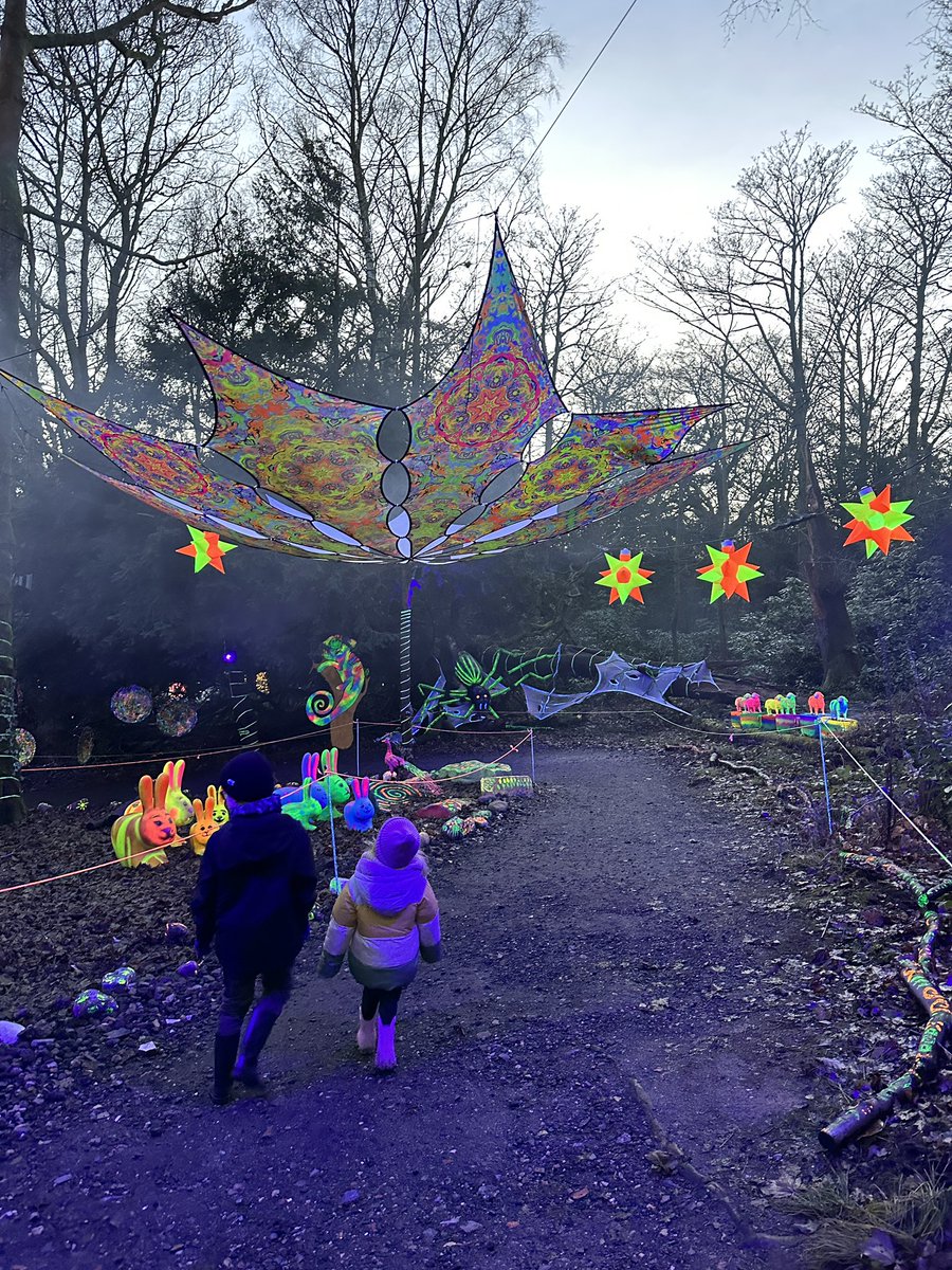 designbykinship's tweet photo. Disco balls and dancing in the forest ✨🪩 Loved this years Forest of Light at @BeamishHall 😍 #lovedurham #forestoflight https://t.co/Z8HDkewDcL