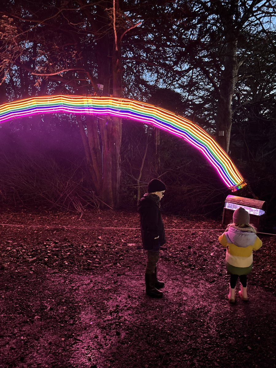 designbykinship's tweet photo. Disco balls and dancing in the forest ✨🪩 Loved this years Forest of Light at @BeamishHall 😍 #lovedurham #forestoflight https://t.co/Z8HDkewDcL