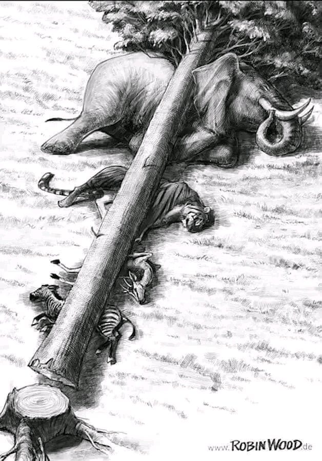 EcmOrgGLOB's tweet photo. Sometimes visuals tell you the whole story.

#ClimateEmergency #CO2 #RISE #earthquakes #deforestation #ecosystem #HumanRights https://t.co/oSDbPpOWxC