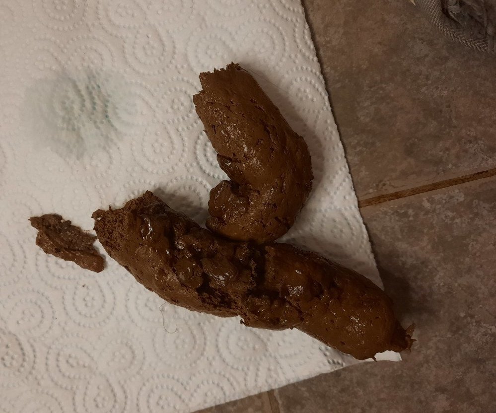 LiliaisDirty's tweet photo. Just dropped this fat load and there's no one to 'Clean it up' for me... Such a shame...
DM if interested in anything xx
#BBWScat #SSBBWScat #Scat #FemScat #ScatDomme #scatlog #SellingContent #ScatContent #ScatDomme #ScatPig #Femdom https://t.co/bamoJecGpq