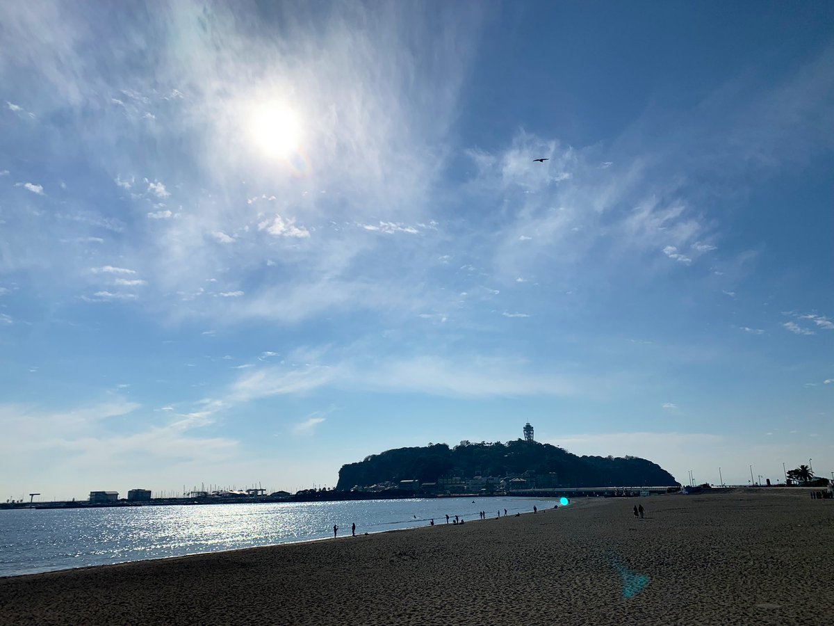 庵 tweet media