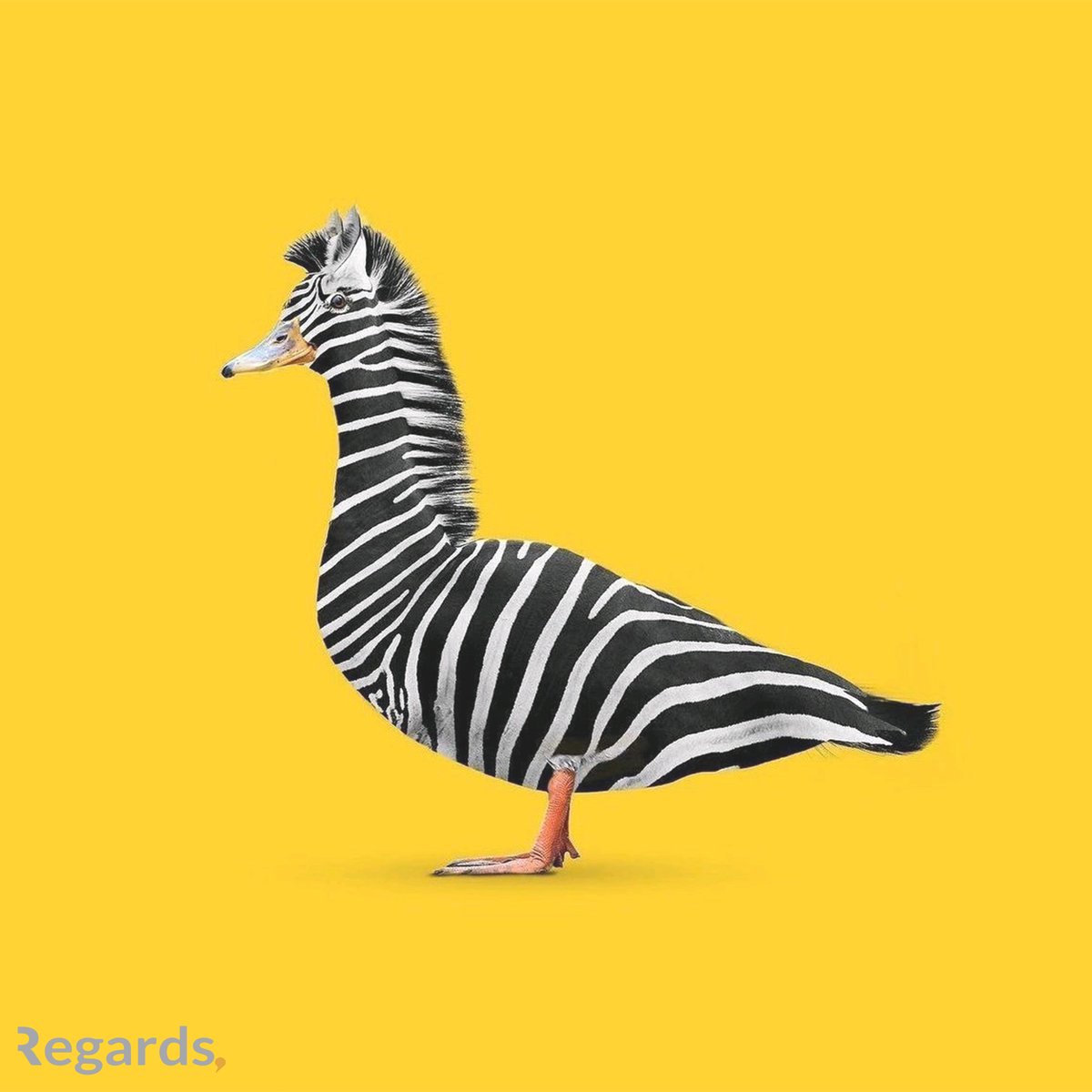 regardsco's tweet photo. دع تصاميمك تبهر الجميع,
التصميم ابداع تتقنه Regards

#Regards #الدربالميسرللخدمات_الإدارية #ecommerce #Software_Solutions  #human_resources #Quality_software #Marketing #Project_management #design
#التجارةالإلكترونية #الأنظمة #حلولالبرمجيات #الموارد_البشرية
#التصميم #مواقع #دومين https://t.co/A8m6GmWHuJ