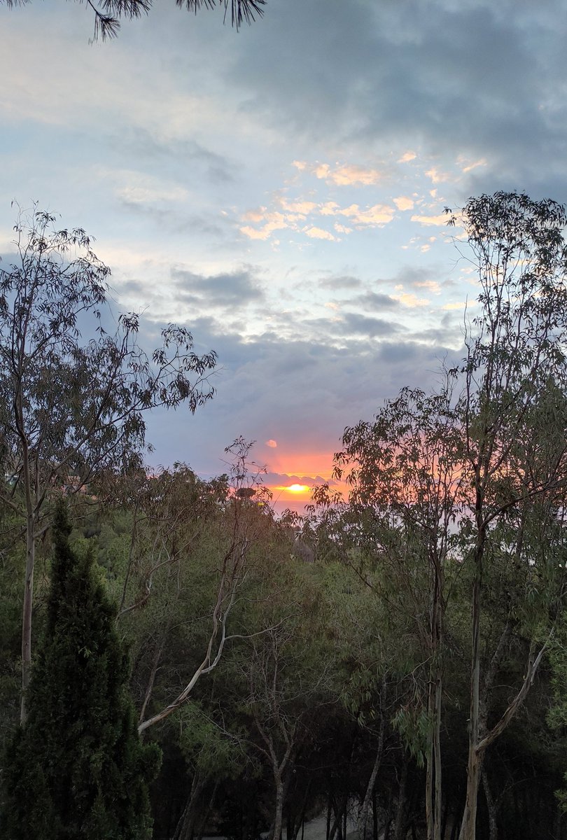 sergiogl65's tweet photo. @HimarGonzalez  Amaneciendo en el Parque el Morlaco. (Málaga) https://t.co/8g6UaPzsoz