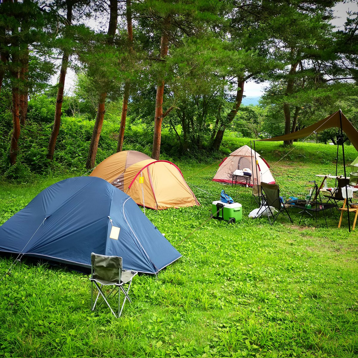 firedoragoncamp's tweet photo. 3人でソログルキャン。
テントの種類も三者三様。
それぞれの良さがあり、比較してみるのも楽しいし⛺
・

高山村CAMPより
#camping #camp　#camplife #アウトドア　#Outdoor　#テント　#ソロキャンプ　#camper #outdoorlife #outdoors #Tento #キャンプ道具 https://t.co/EUUpjYd311