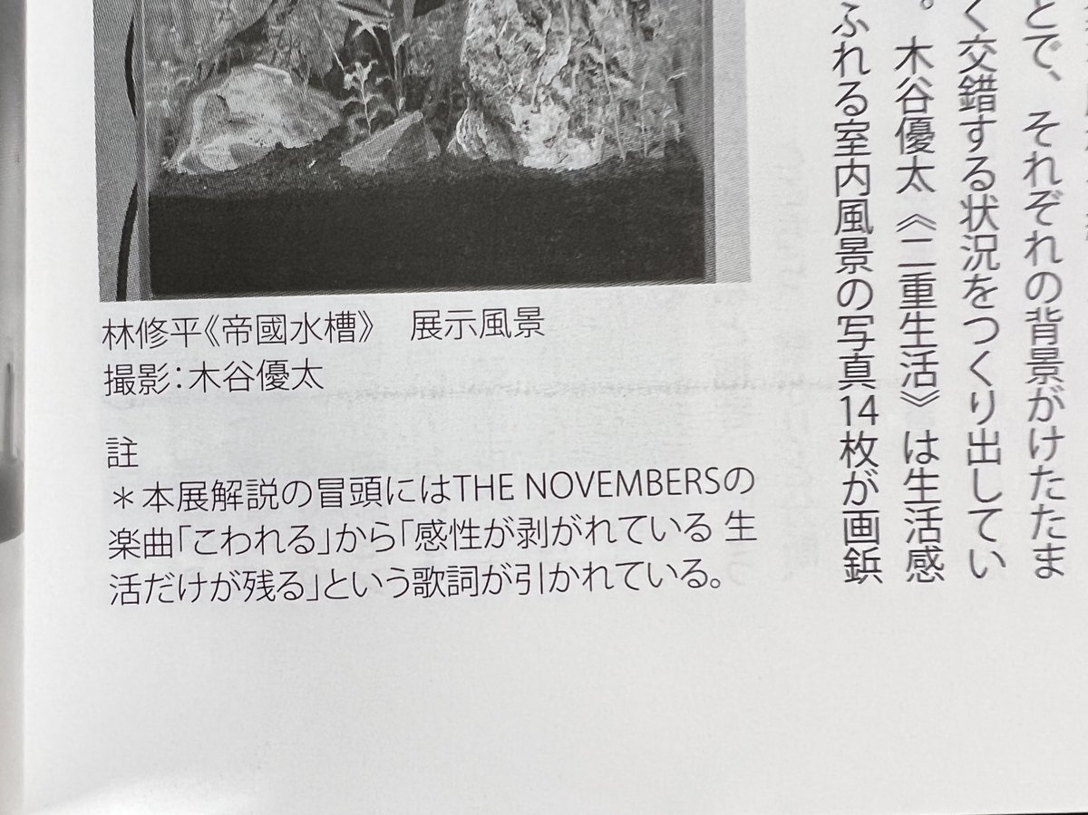 z_t_e_n's tweet photo. 加藤恵さんによる『P 尽き果て』のレビューが『REAR』の最新号に掲載されています。ありがとうございます・・・！ https://t.co/dePtBsg5k0