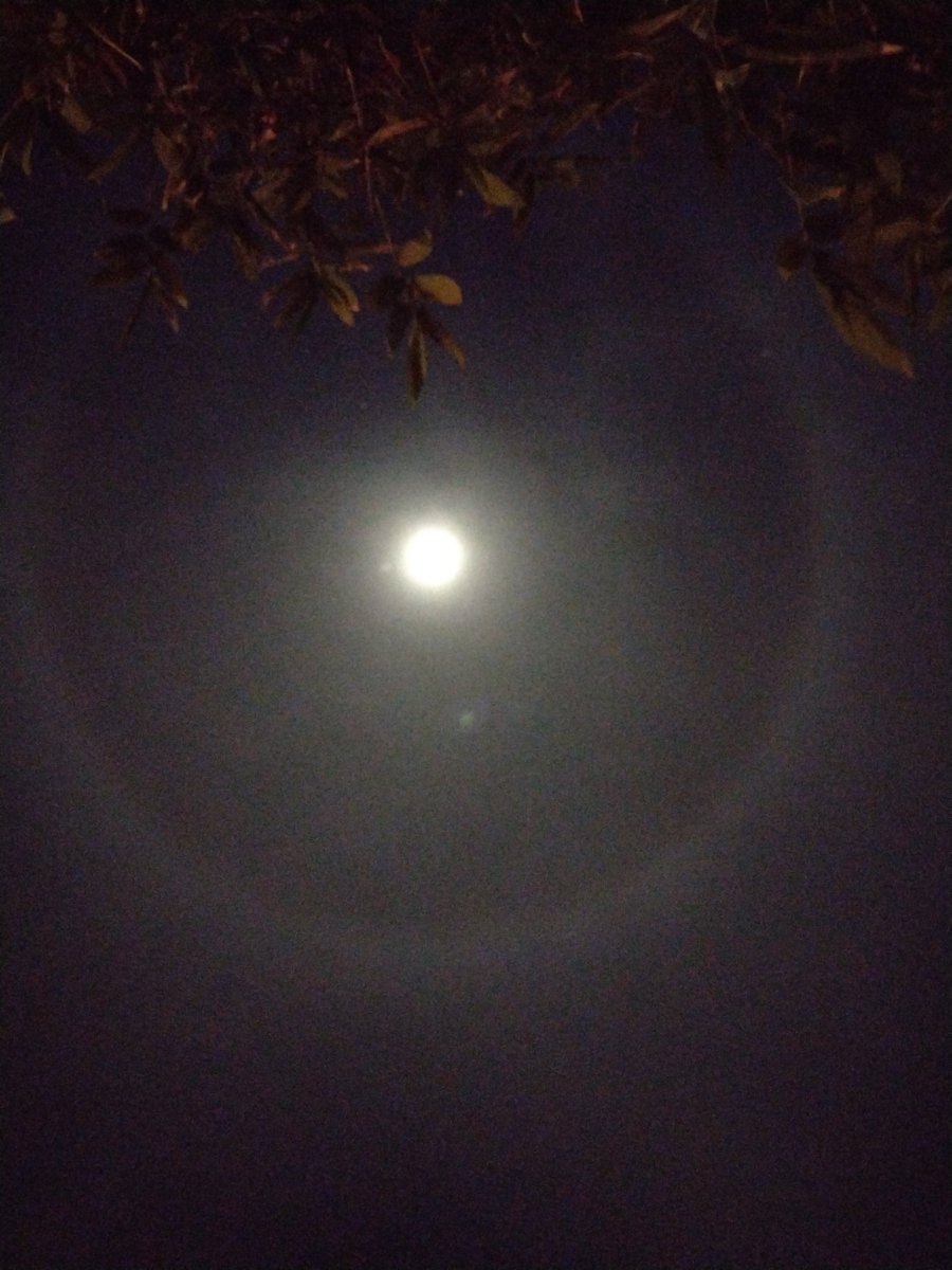 xx_marm's tweet photo. Así la luna en Mexicali ahorita https://t.co/7wBSbY1WLi