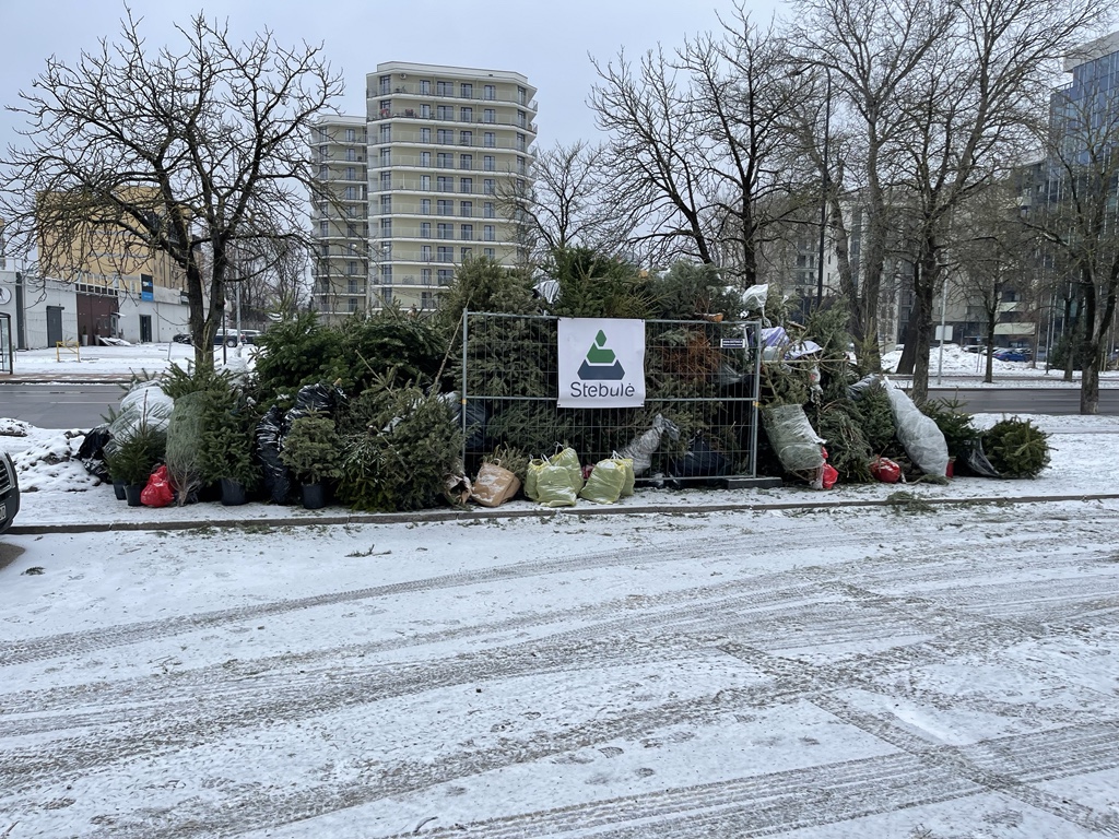 chippcheg's tweet photo. Срубать дерево на 3 недели и потом выкидывать – это не про ответственное потребление https://t.co/z6LdVGaUah