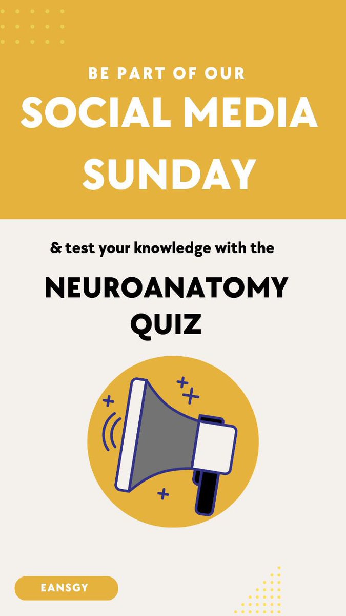 Join our neuroanatomy quiz &amp; test your anatomy skills. Keep an eye out on our social media at 5:30pm today! #EAN #Neuroanatomy #Educate
