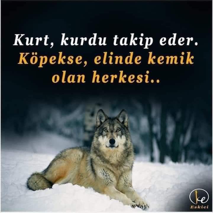 KaranliginKizi7's tweet photo. NİYE ŞAŞIRDINIZ Kİ !?
BUĞRA KAVUNCUNUN #ABLASI FETÖ nün KIZI #AKŞENER de AYNI DİLİ KONUŞUYOR !?
HEPSİ #İBLİSİN ORTAK #LAĞIMINDAN BESLENEN RUHLARI SATILIK VATAN #HAİNLERİ
YOK BİRBİRLERİNDEN FARKLARI !
HEPSİ #İBLİSLERE UŞAK OLAN HAİN #HASTALIKLI #YAŞLI BEYİNLER
YÜZLER BEDENLER https://t.co/Z0vxD7M0jG