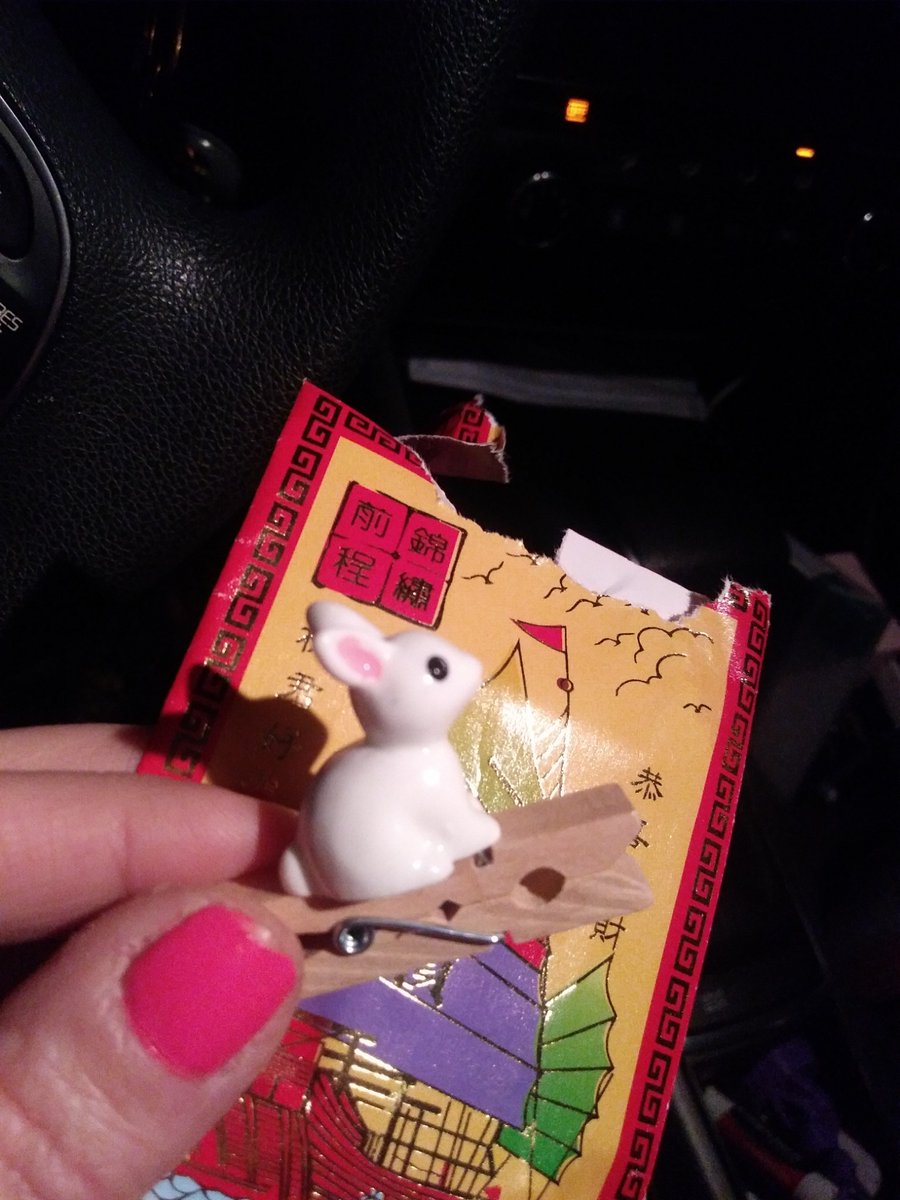 Huntermonkey123's tweet image. #monkeyshines2023 @BethPot53875339 thank you!