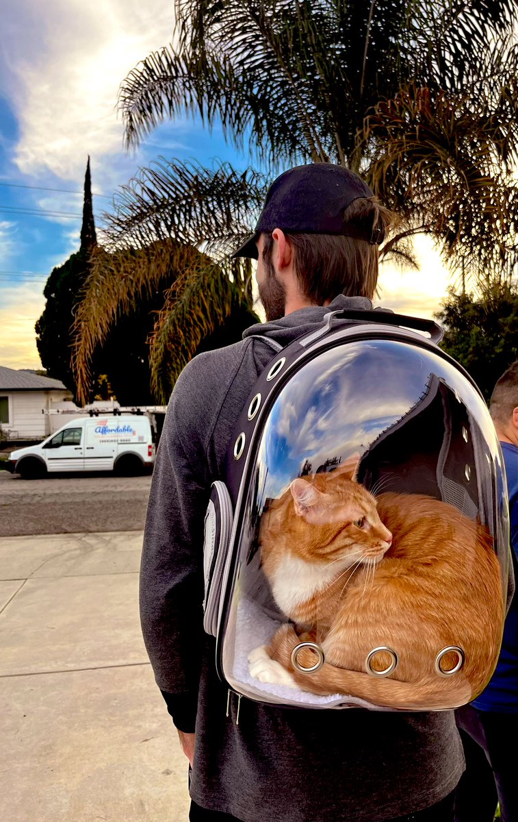 colevid_19's tweet image. everyone has been begging for it so here you go. bino’s outdoor debut