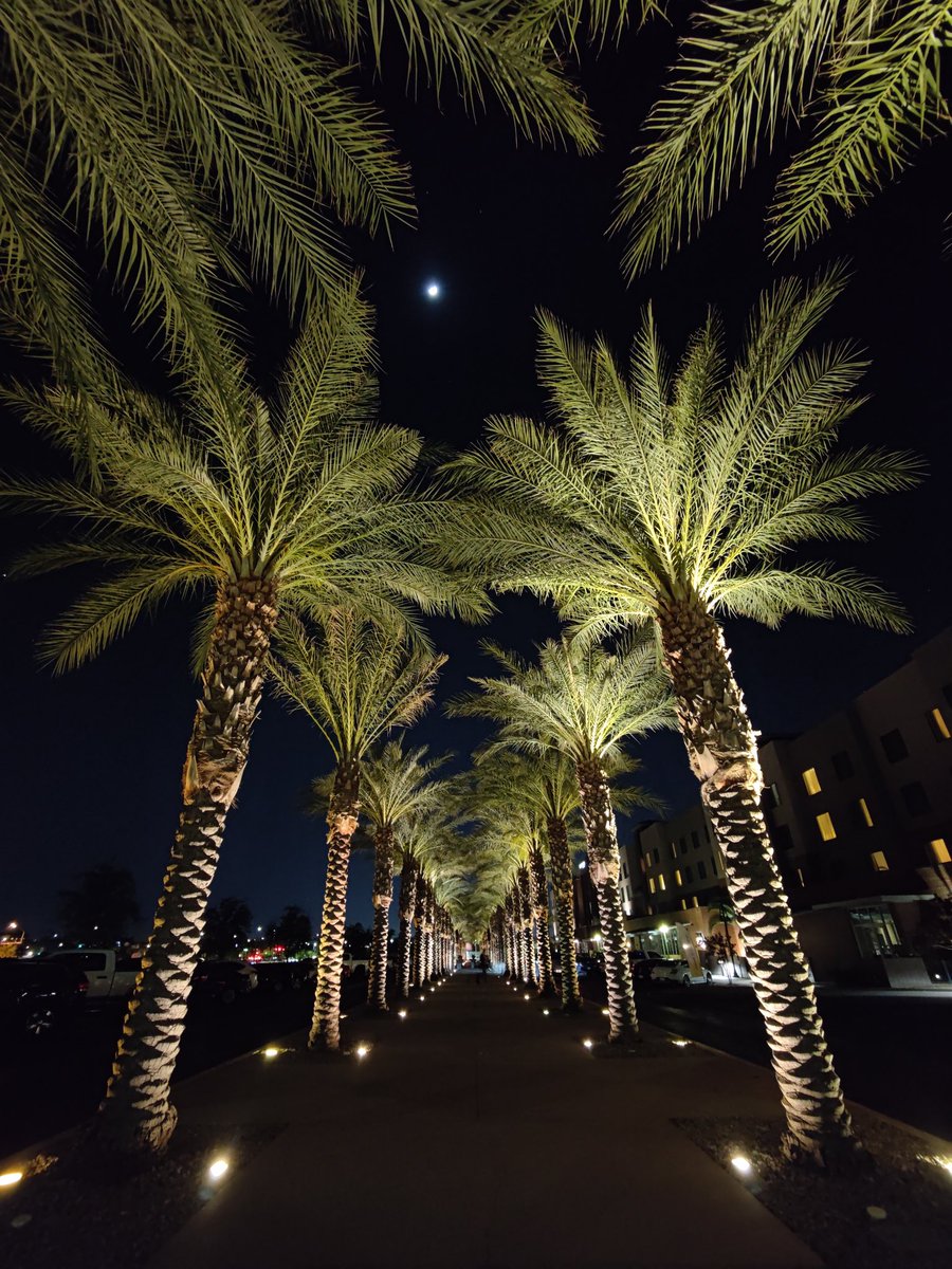 Bhaumik Bheda, Ph.D. tweet media