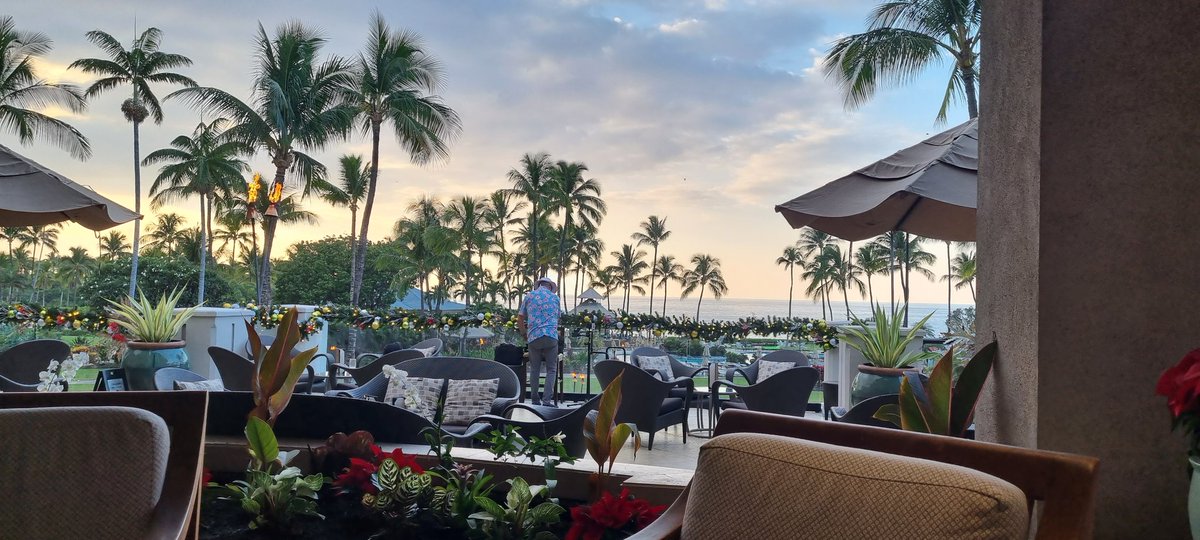 johanna_blee's tweet photo. What an amazing conference, the science, the turtles, the volcanoes. Aloha hawaii, #PSB23 and all the great people I met! https://t.co/rAffI8KN4b