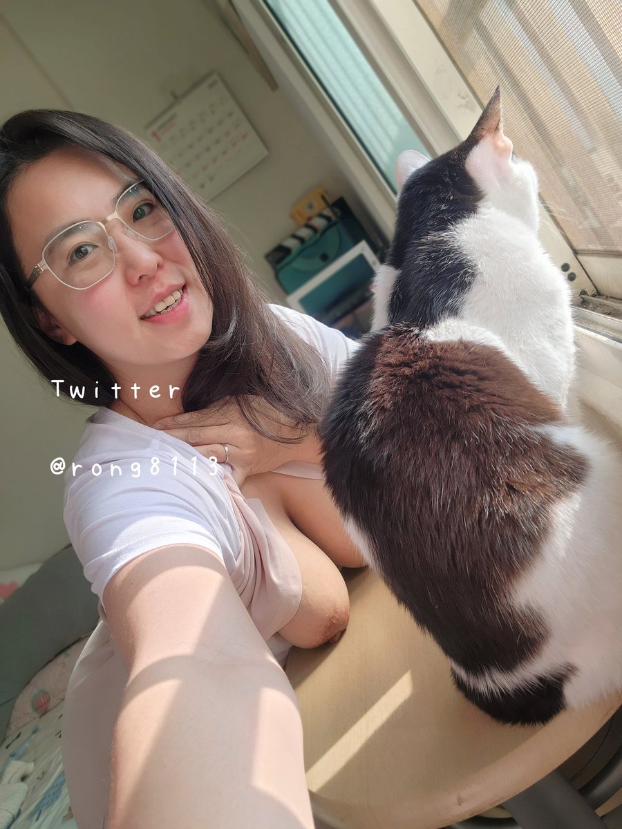 rong8113's tweet photo. 01/08☀️
定期介紹家貓系列🐱
她叫做克克☺️
布魯克的克😆
#Cat https://t.co/9wV1HF7KA6