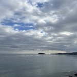 川島琴里 🇯🇵kotori🇯🇵のツイート画像