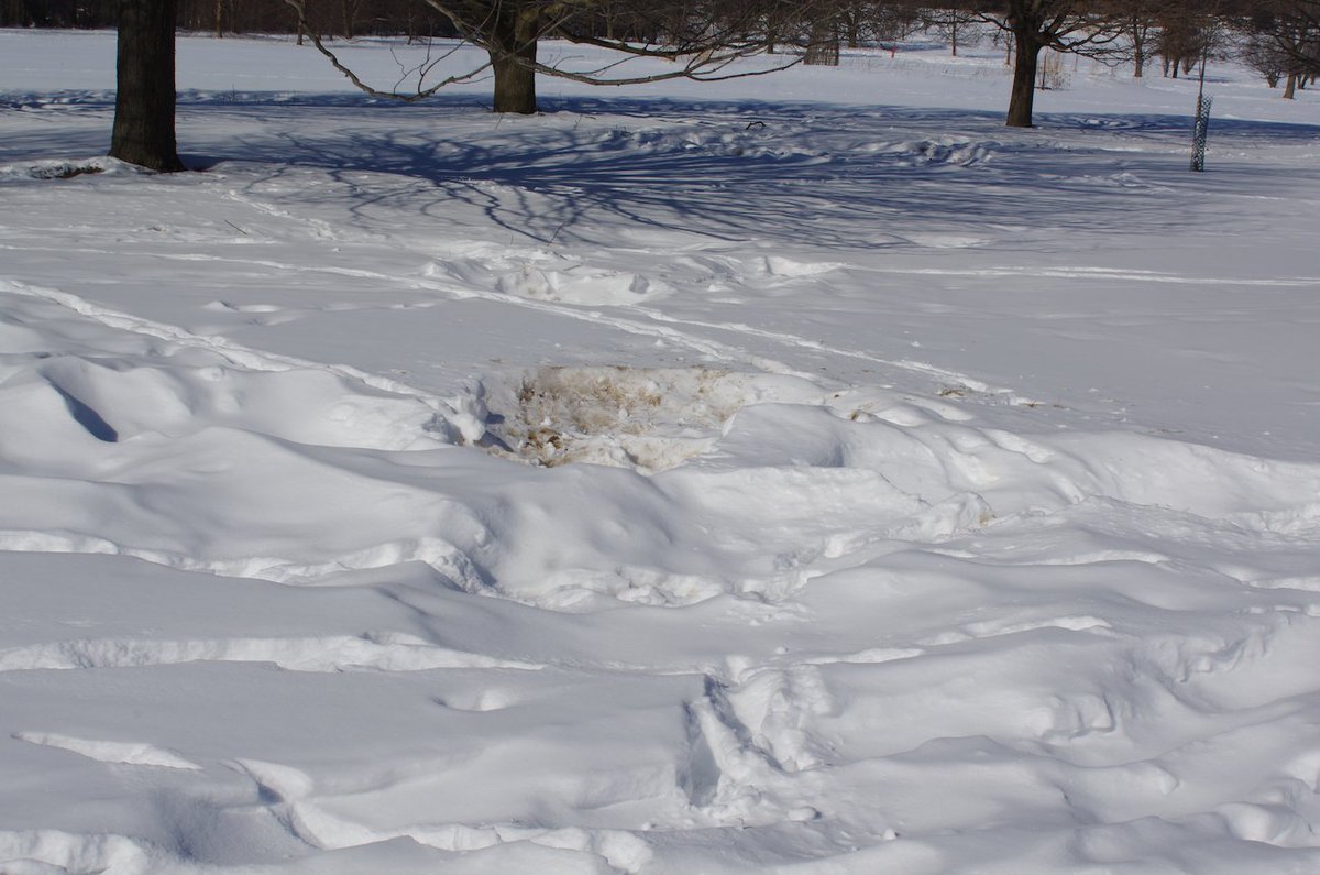 Outing January 21st: Tracking - Adventure Walk at Terra Cotta Conservation Area. 
January - February Newsletter 2023 - mailchi.mp/08d734f5675c/j…