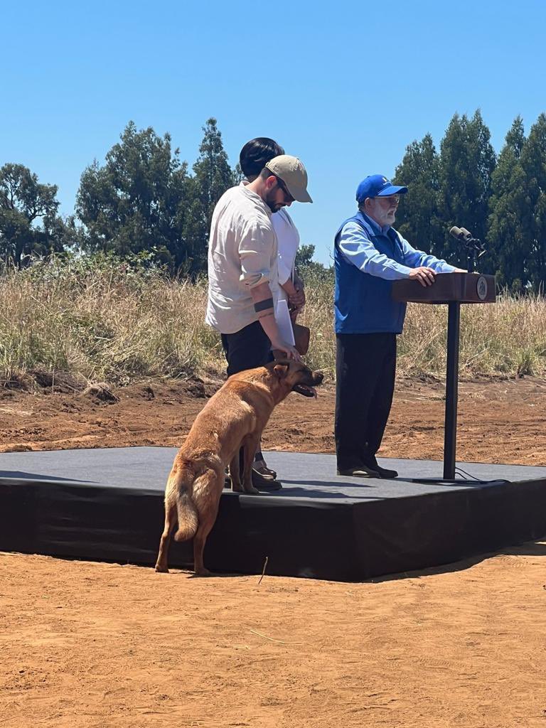 Mi Presi <a href="/GabrielBoric/">Gabriel Boric Font</a>