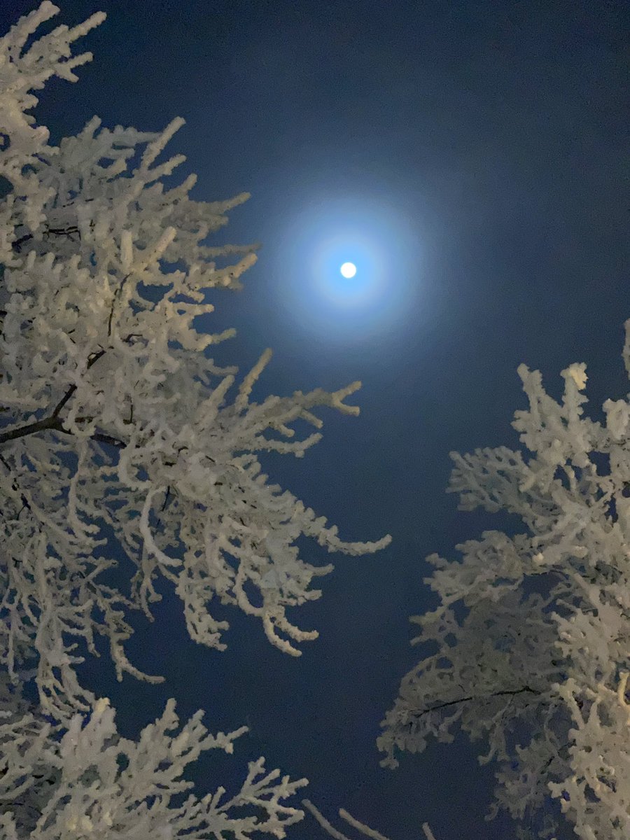 DukeBlueEyes31's tweet photo. @BadAstronomer https://t.co/tyonCUDVRk