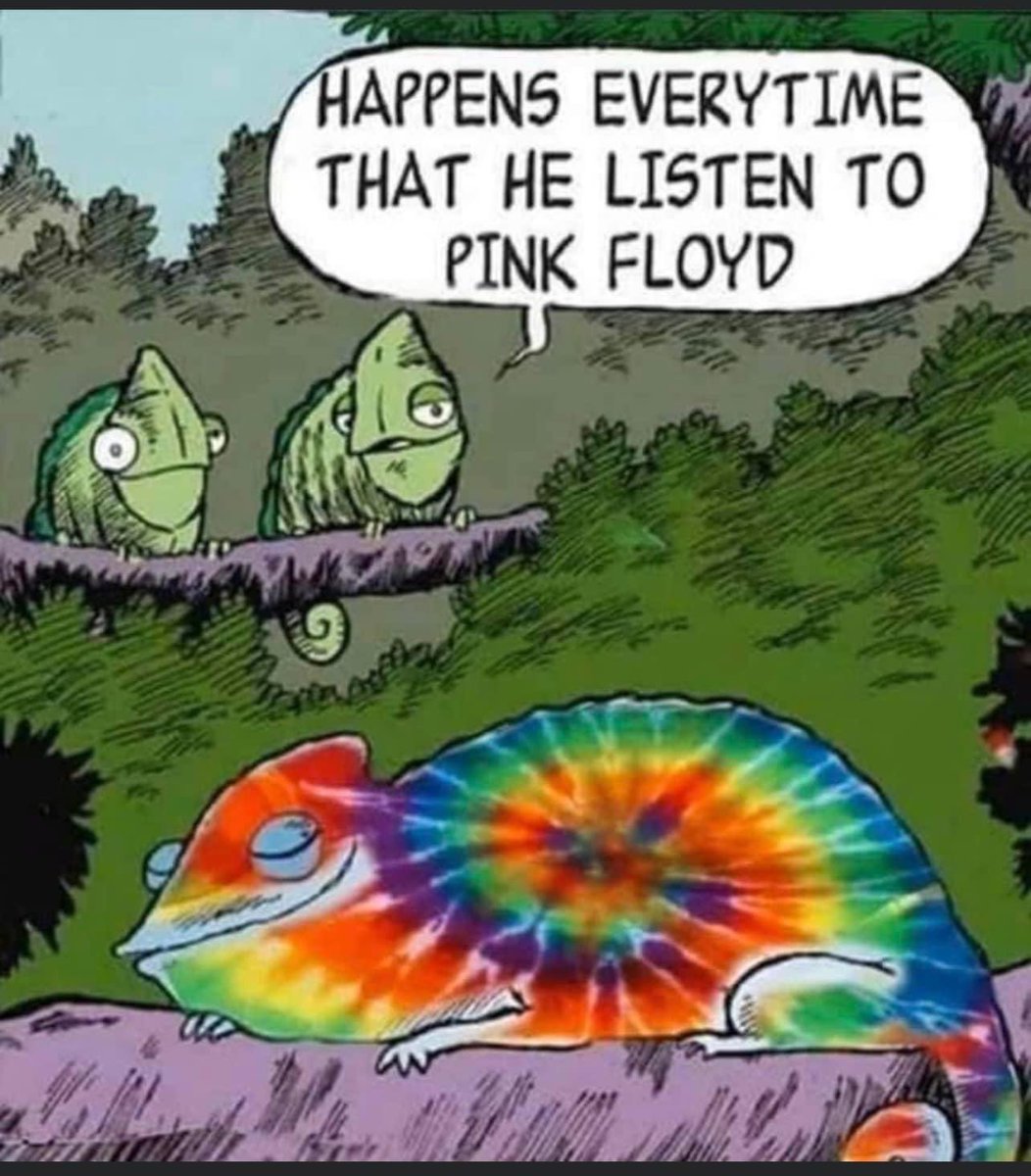 “Oh btw, which ones pink” 🎶🎶